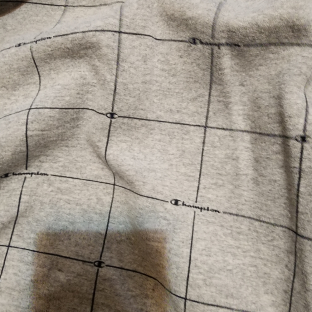 Champion Men's sweatshirt size small. Like new condition.  Worn maybe once.